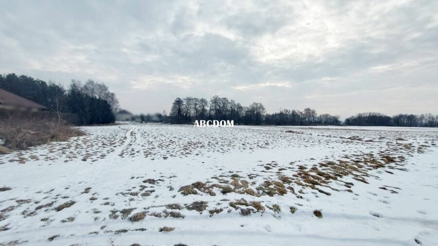 krakowski, Cholerzyn, Działka na sprzedaż