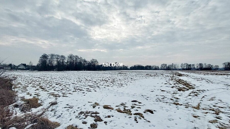 krakowski, Cholerzyn, Działka na sprzedaż