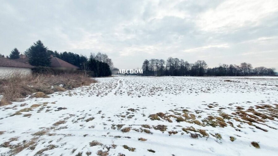 krakowski, Cholerzyn, Działka na sprzedaż