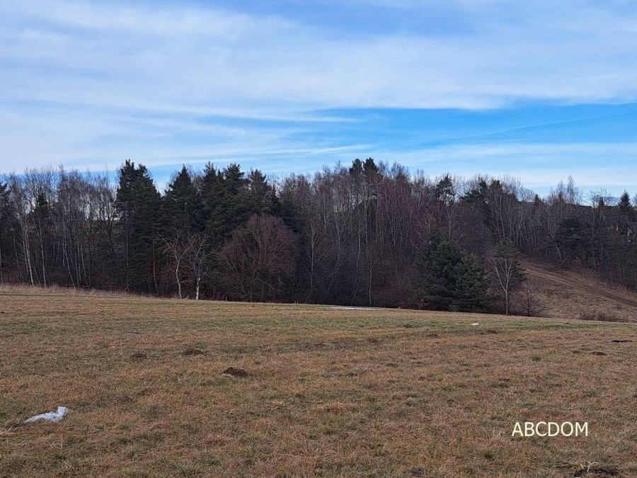 krakowski, Masłomiąca, Dom na sprzedaż