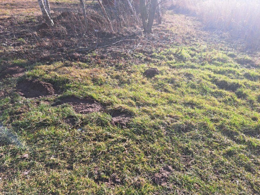 wielicki, Przebieczany, Działka na sprzedaż