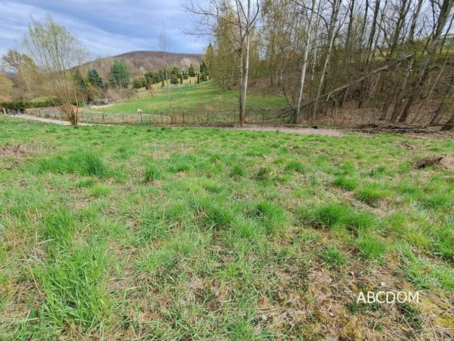 krakowski, Nielepice, Działka na sprzedaż