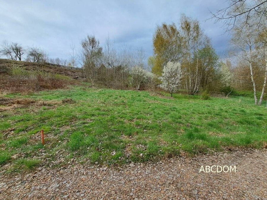 krakowski, Nielepice, Działka na sprzedaż