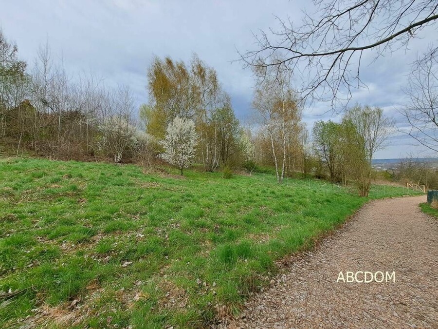 krakowski, Nielepice, Działka na sprzedaż