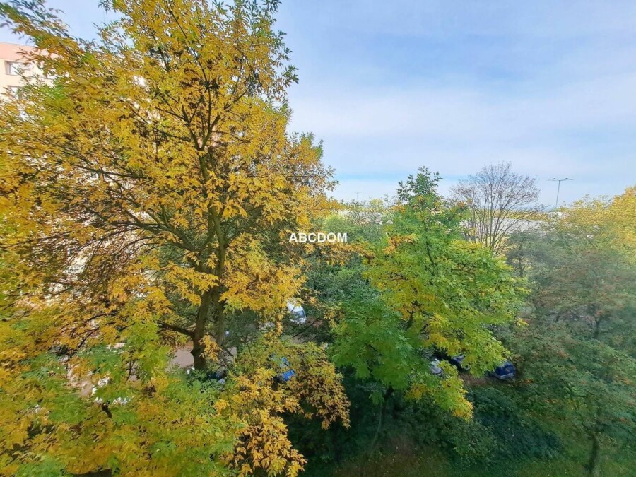 Kraków, Prądnik Biały, Azory, Różyckiego, Mieszkanie na sprzedaż