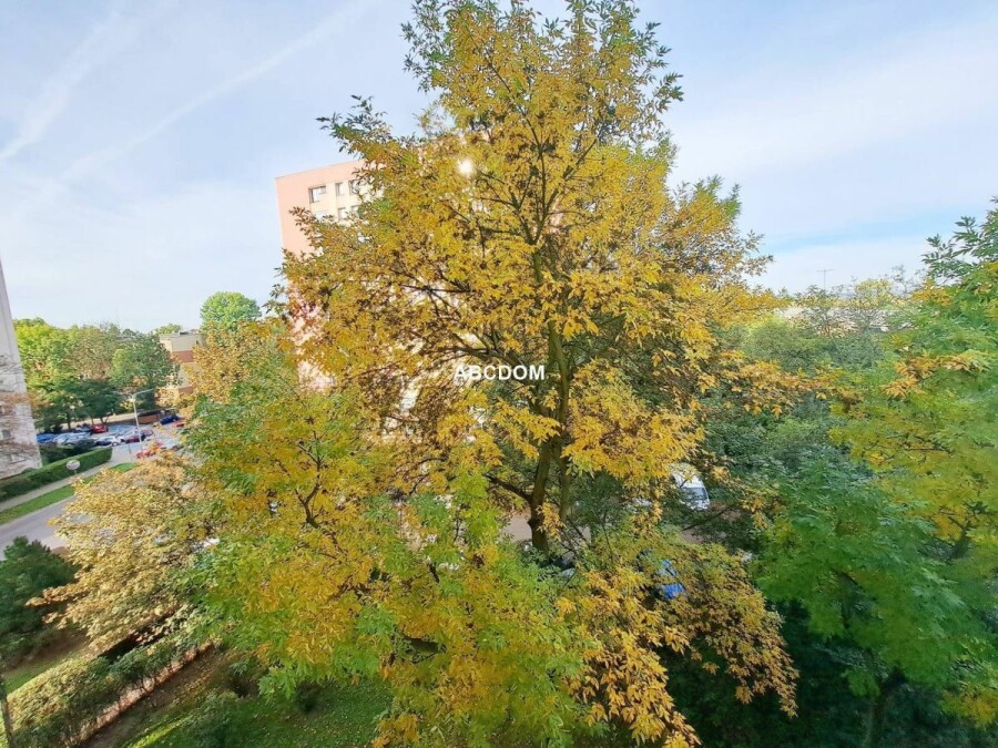 Kraków, Prądnik Biały, Azory, Różyckiego, Mieszkanie na sprzedaż